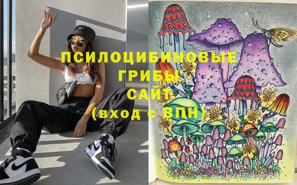 СК Абаза