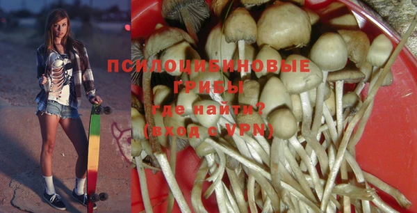 СК Абаза