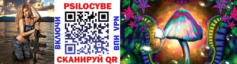 купить наркотик  kraken маркетплейс  Галлюциногенные грибы Magic Shrooms  Ковров 
